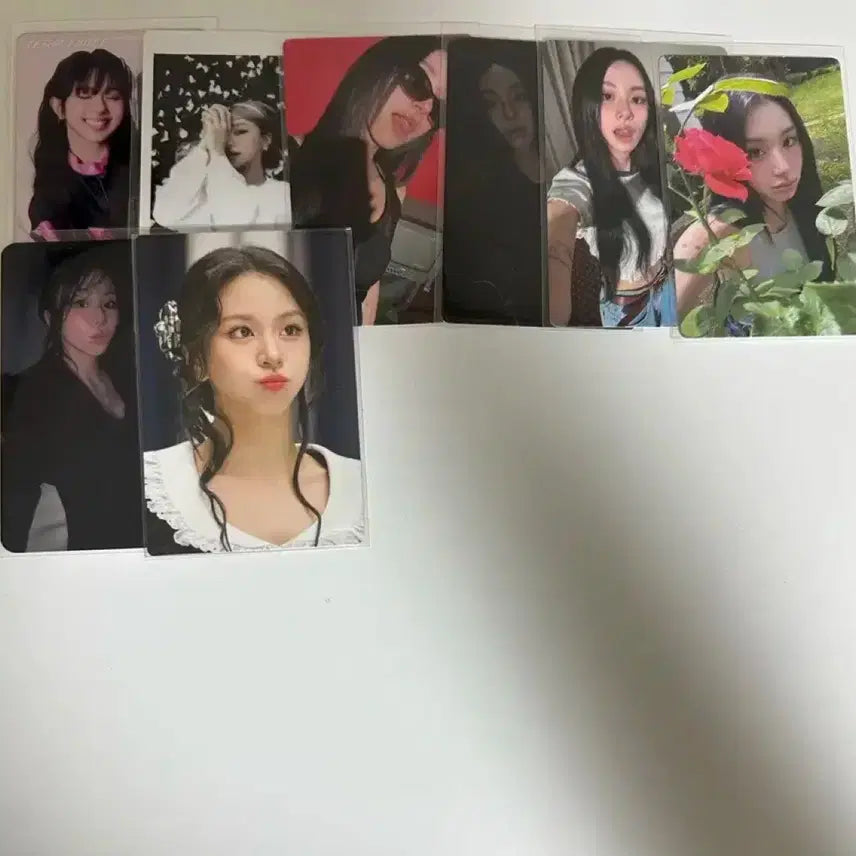 트와이스 채영 포카 일괄 판매