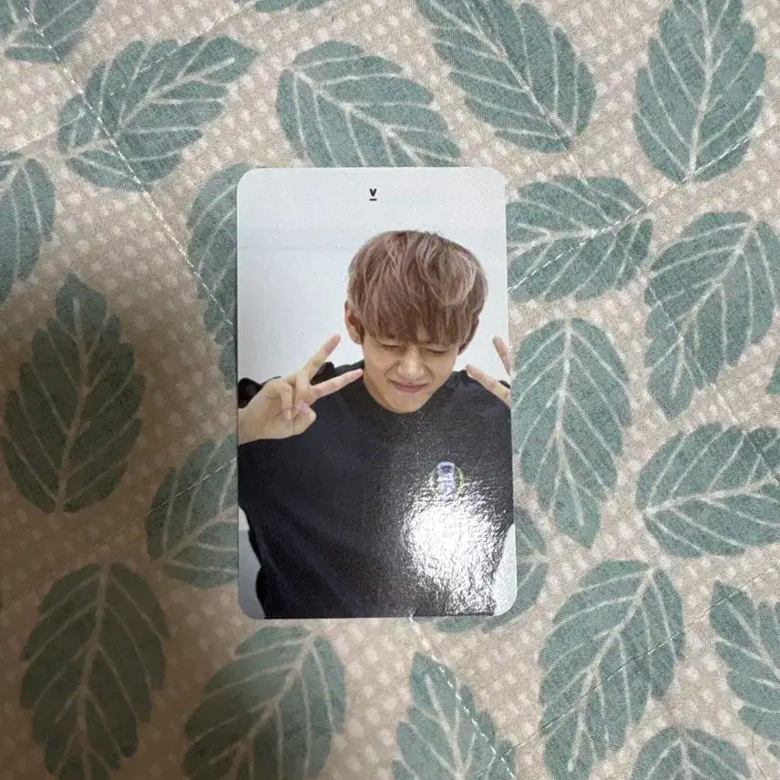방탄 엔오 뷔 포카