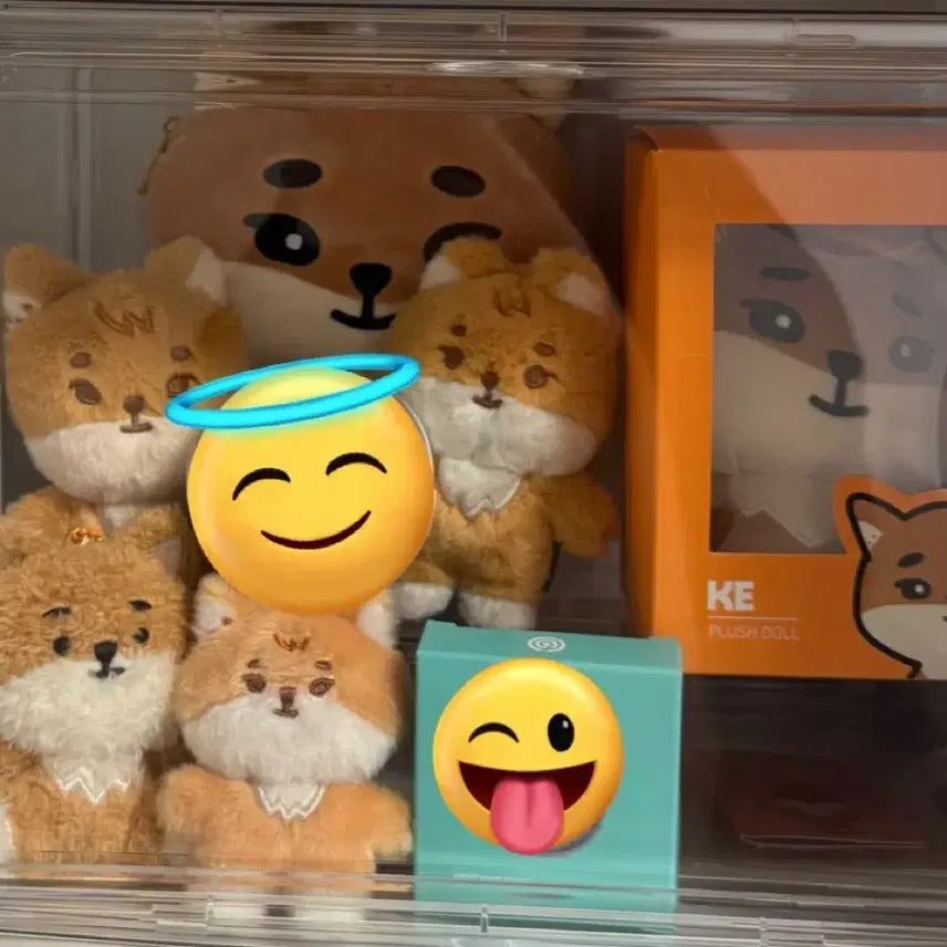 데이식스 영케이 인형 양도 쁘멀 데멀 케둥이