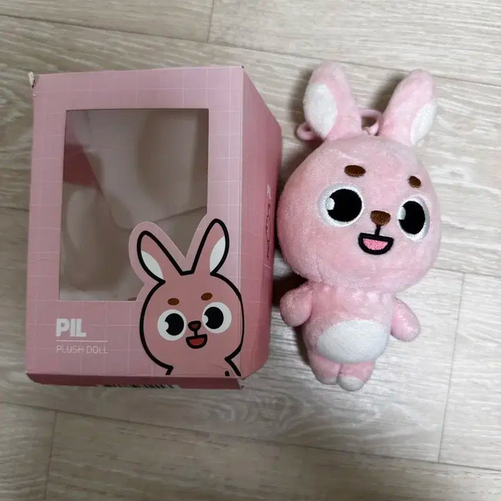 데이식스 원필 22 필끼