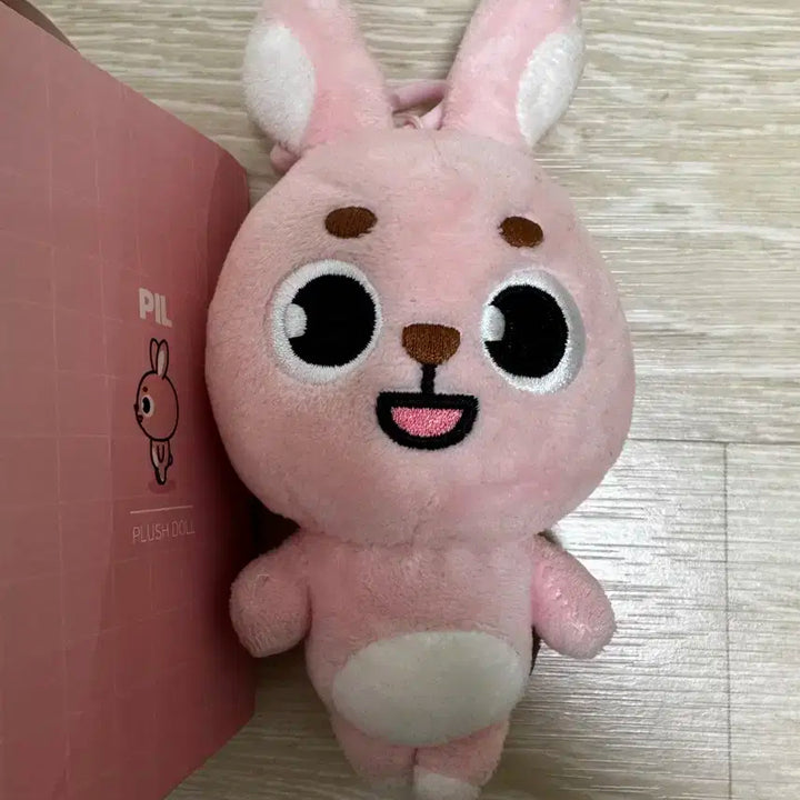 데이식스 원필 22 필끼