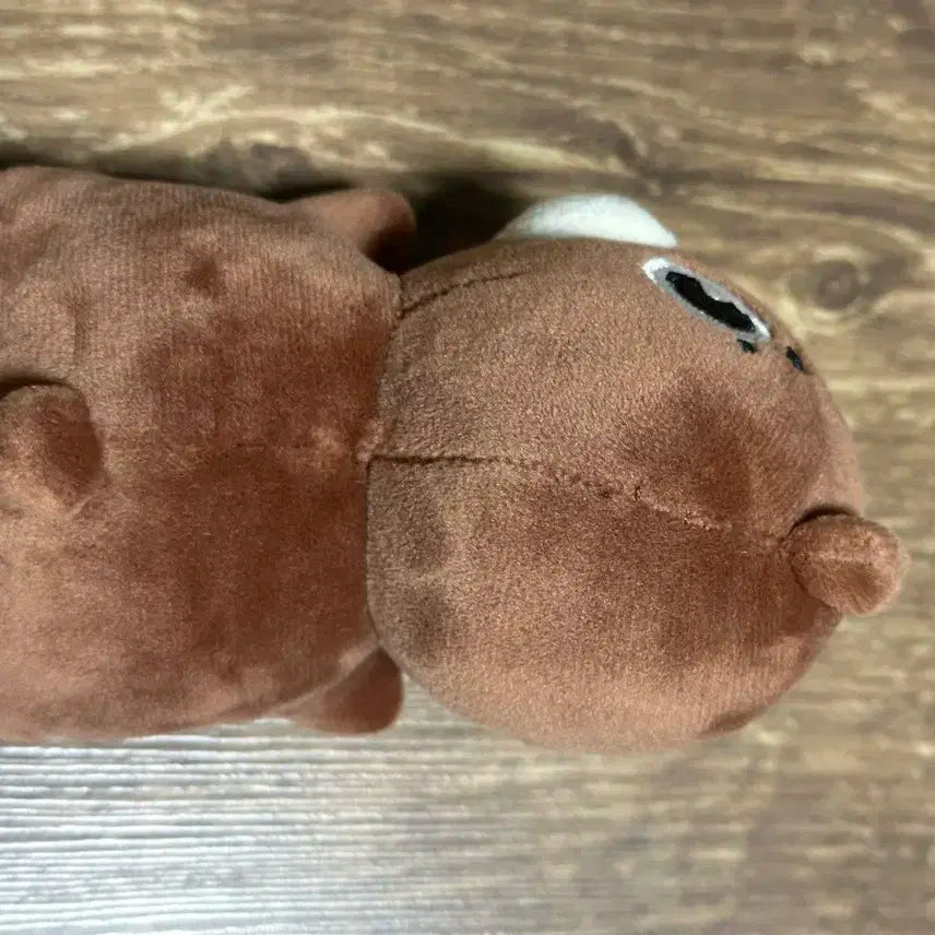 데이식스 데니멀즈 손난로 방