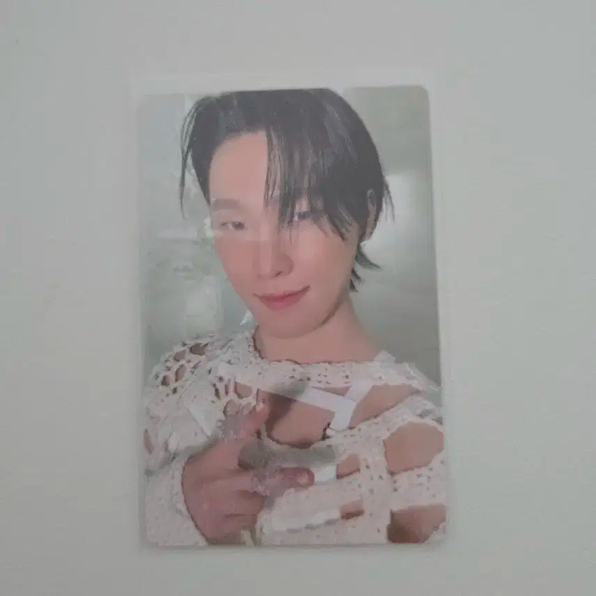 세븐틴 정규5집 캐럿반 디노 포카