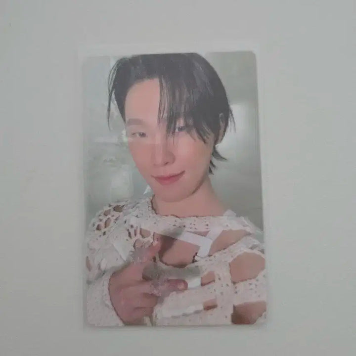 세븐틴 정규5집 캐럿반 디노 포카