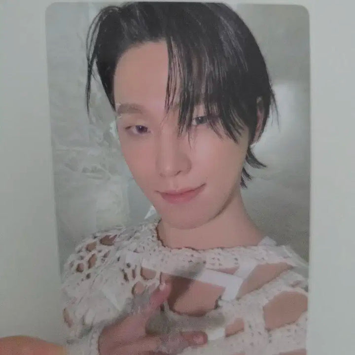 세븐틴 정규5집 캐럿반 디노 포카