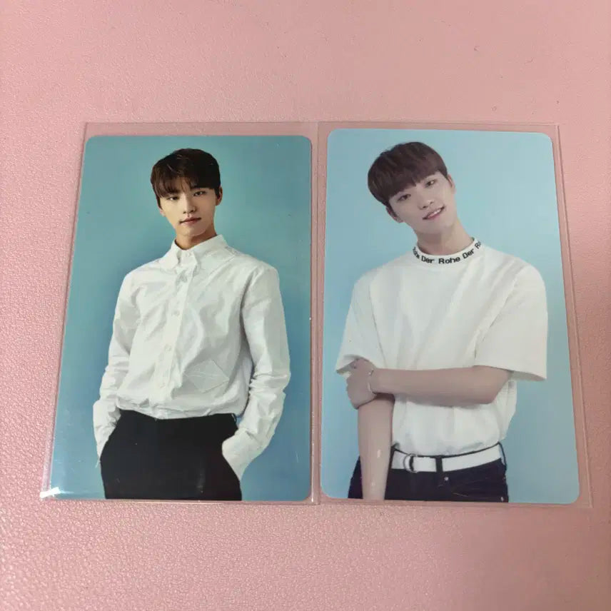 세븐틴 디노 2기, 3기 멤버십 포카 일괄 양도