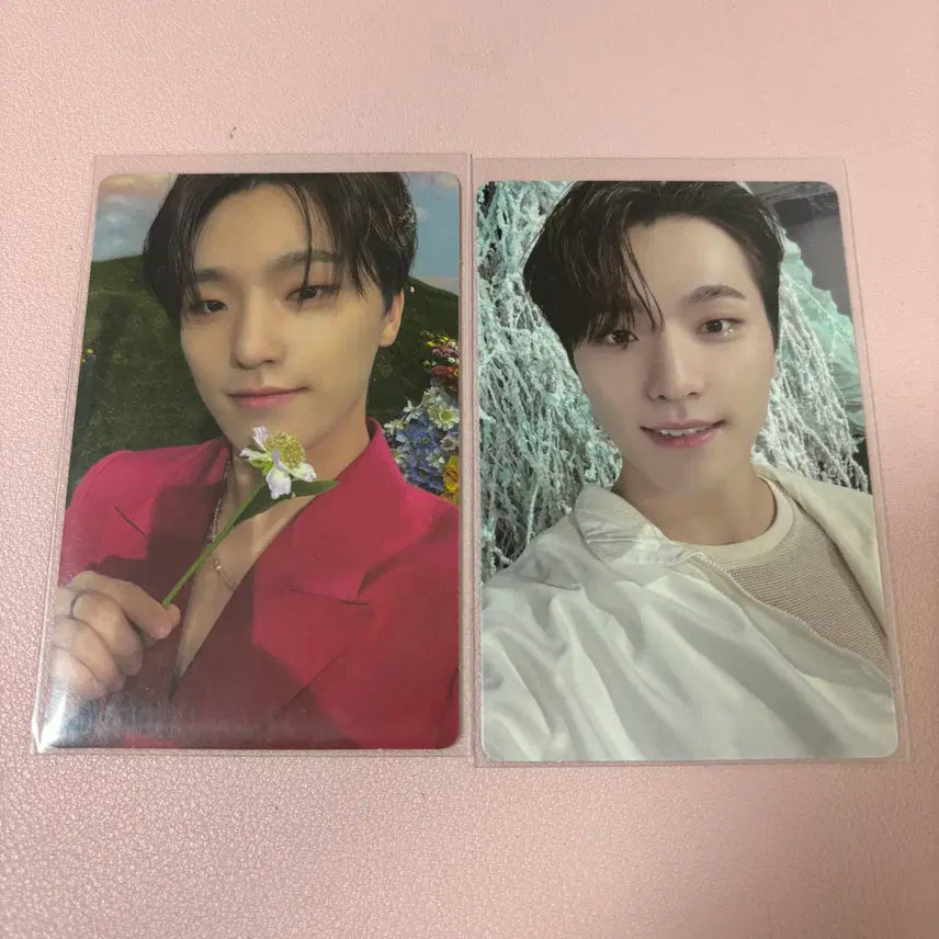 세븐틴 디노 섹터 포카 일괄 양도