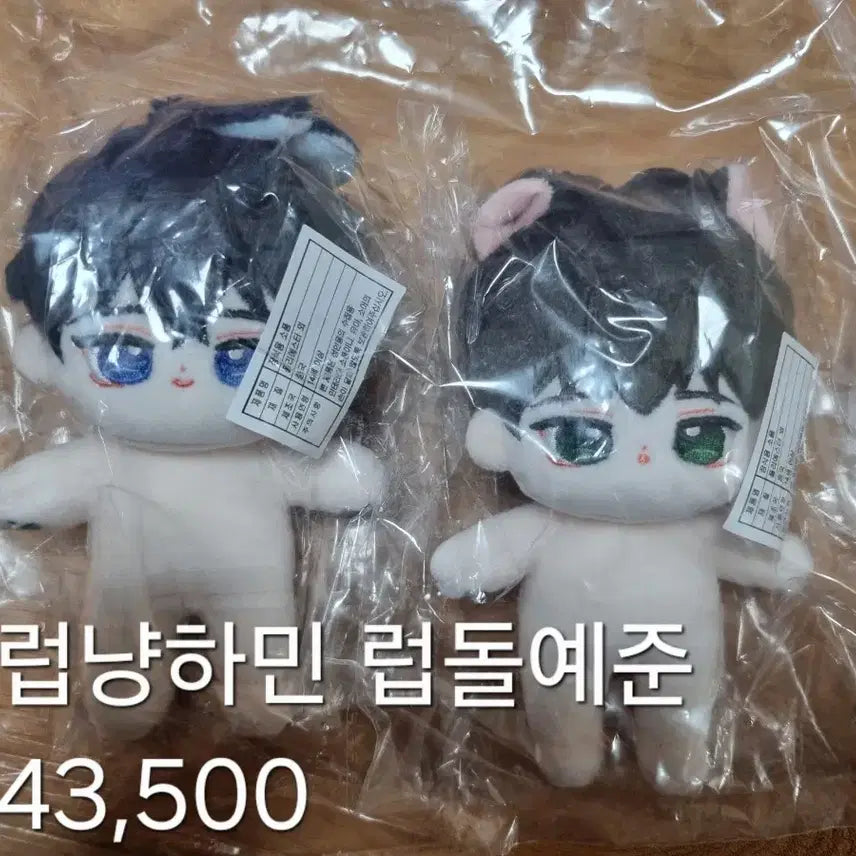 플레이브 예준 하민 속성 럽냥하민 럽돌예준