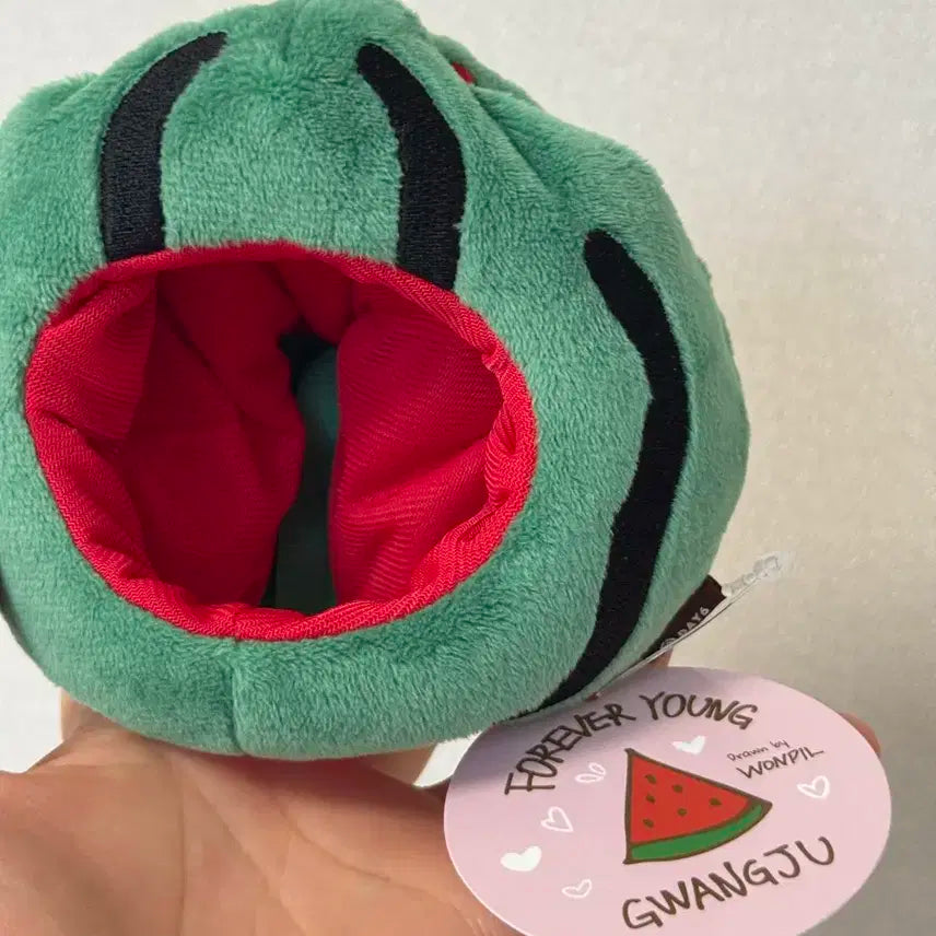 데이식스 md 수박 코스튬 인형옷 양도