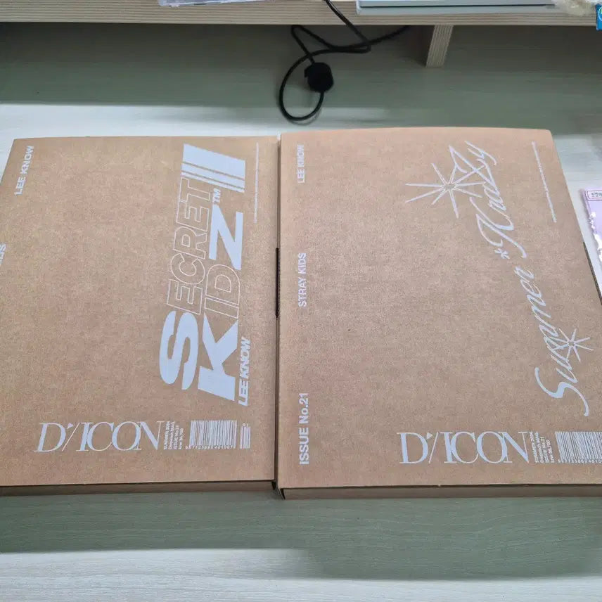 리노 DICON VOLUME 21 STRAY KIDS 버전1,2