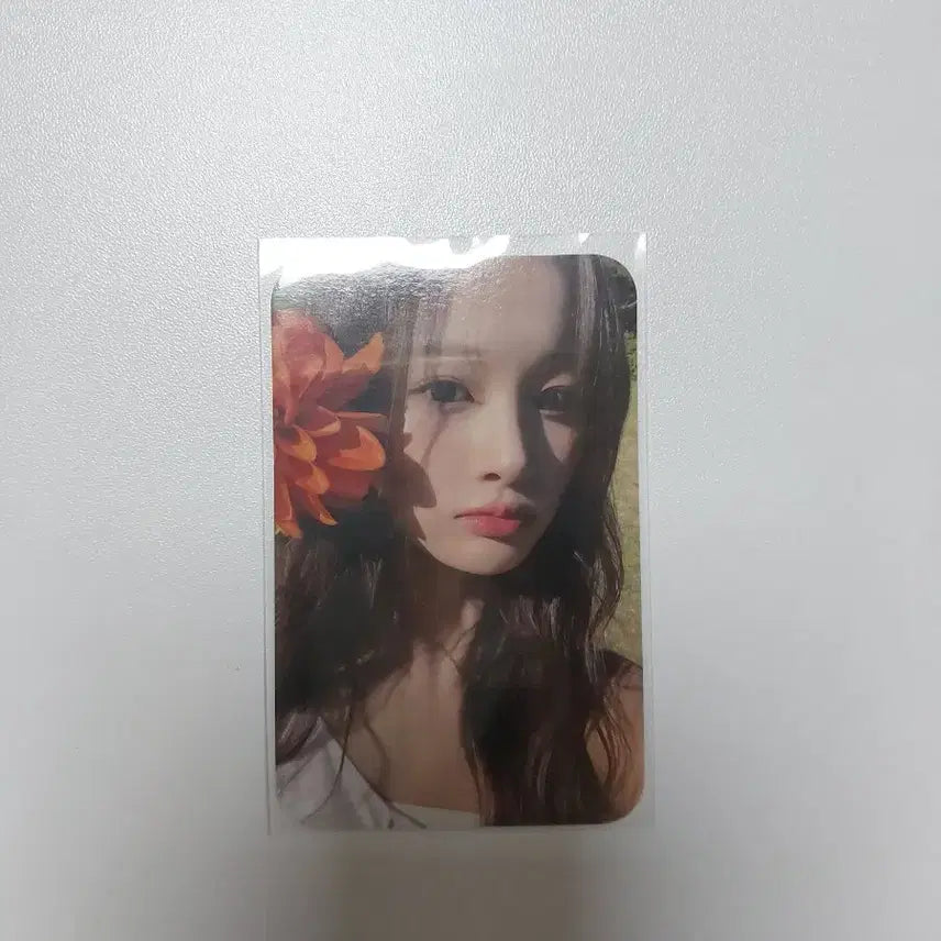 엔믹스 설윤 포카 판매