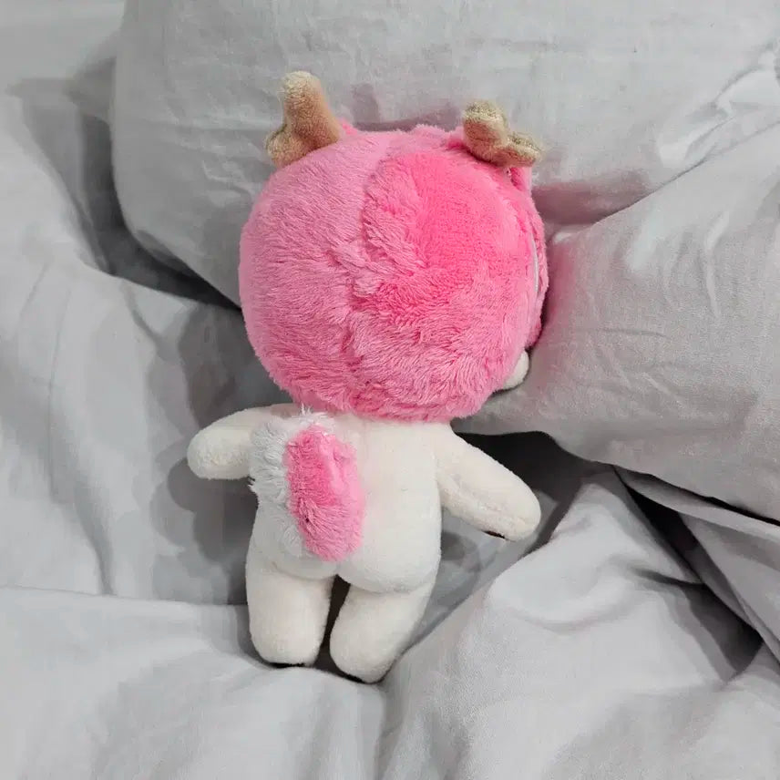 플레이브 비공식솜깅 와슴이