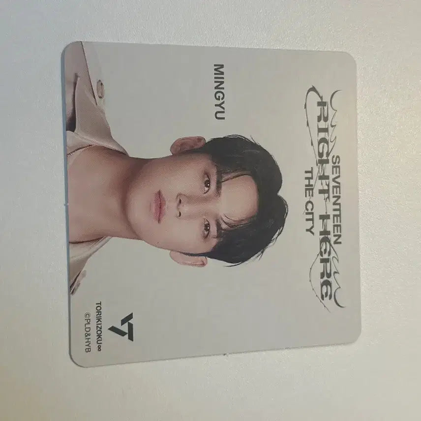 세븐틴 카페 일본 원우 아크릴 스탠드 양도