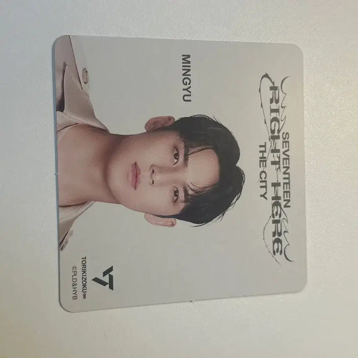 세븐틴 카페 일본 원우 아크릴 스탠드 양도