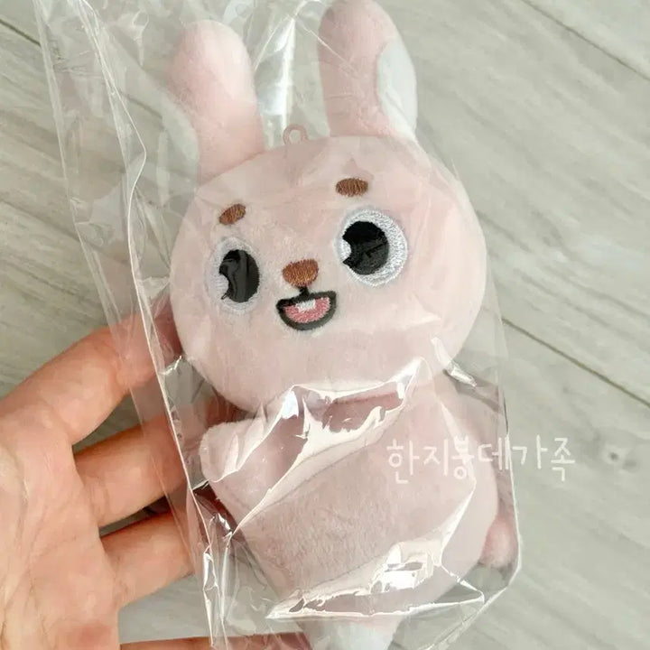 미개봉) 데니멀즈 손난로 필 24클콘 엠디 원필 데이식스