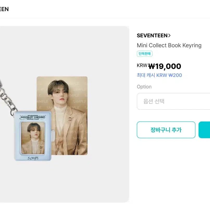세븐틴 라잇히어 엠디 굿즈 미니 콜렉트북 키링 정한 포카포함