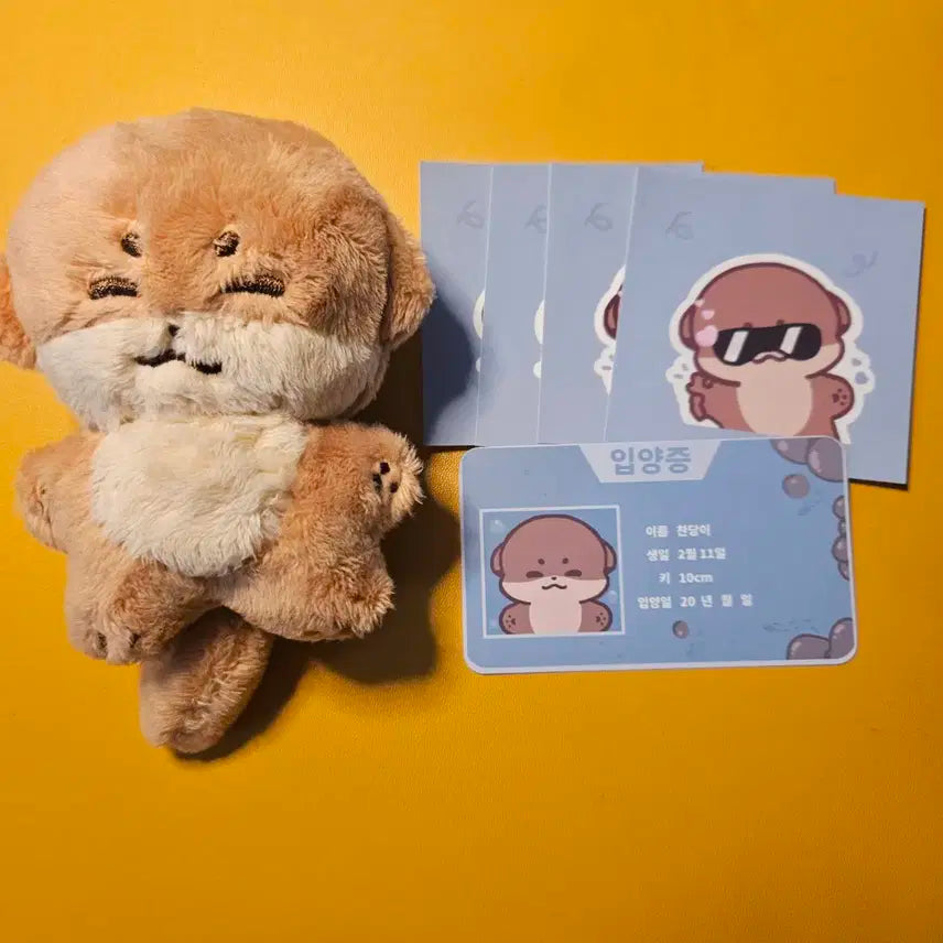 세븐틴 디노 인형 찬당이 양도