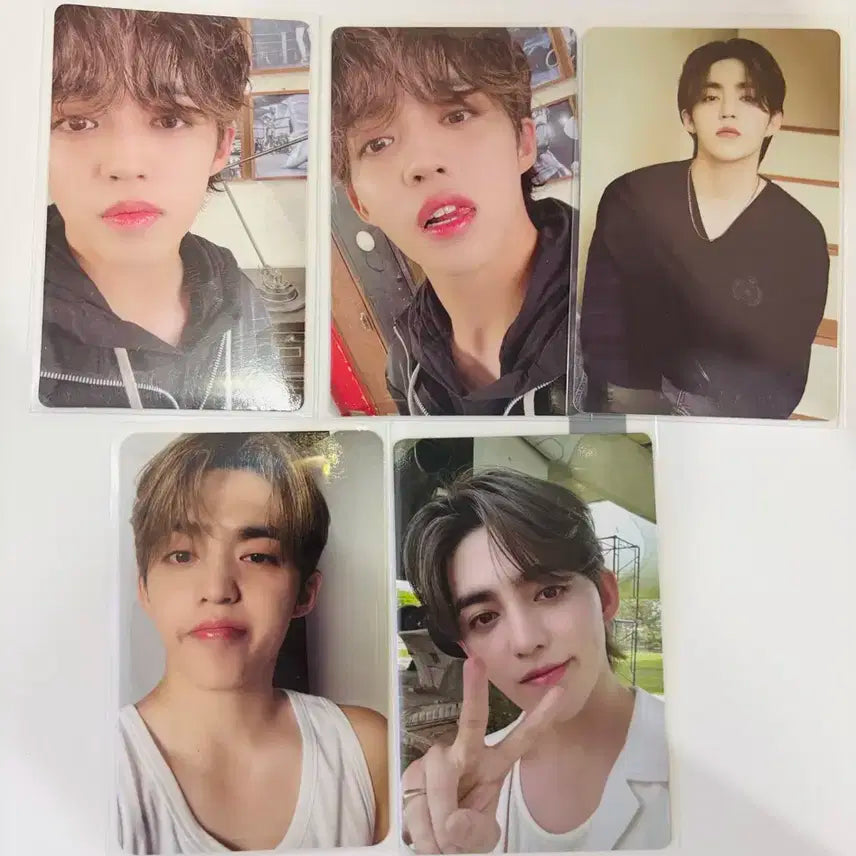 세븐틴 쿱스 포카 일괄