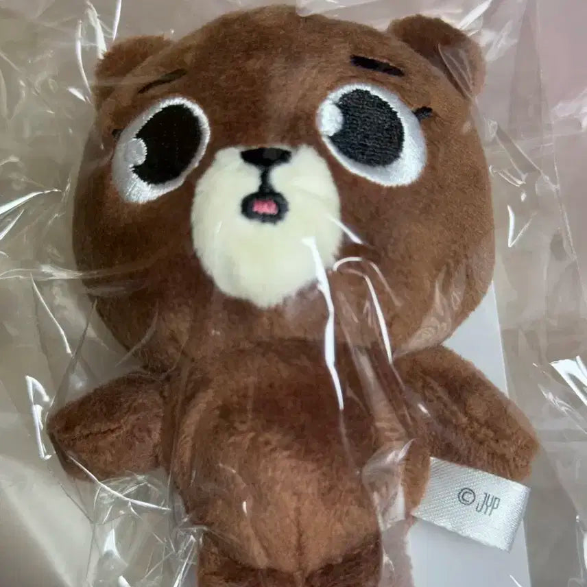 데이식스 데니멀즈 백참 방 (새상품) 일본MD