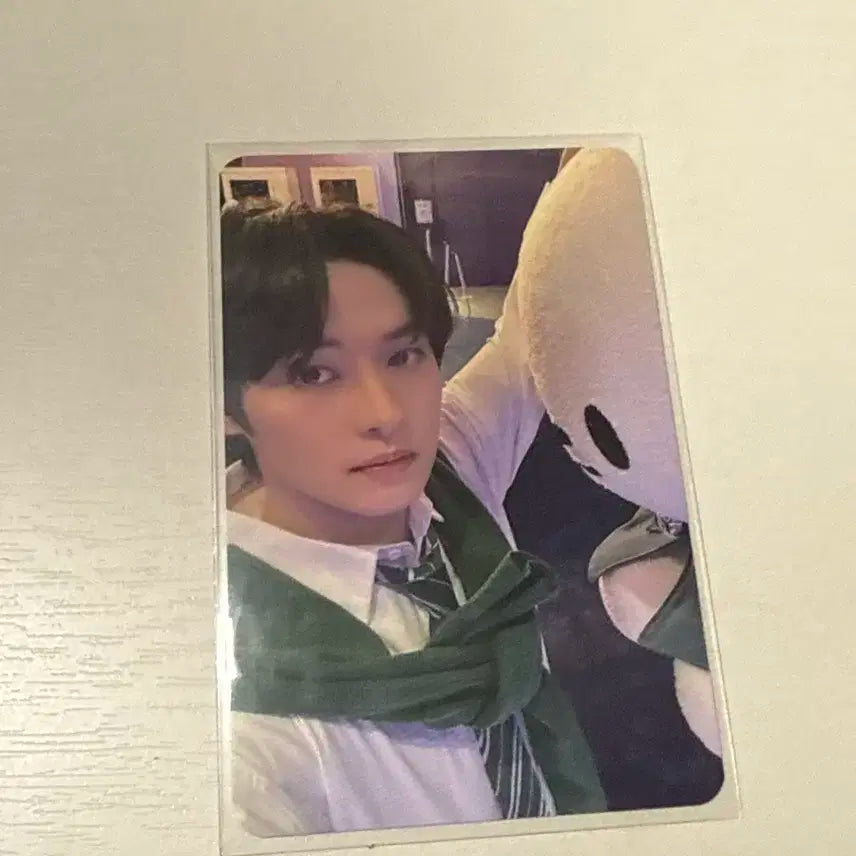 공굿덤) 매직스쿨 팝업 4만원 스키즈 리노 포카