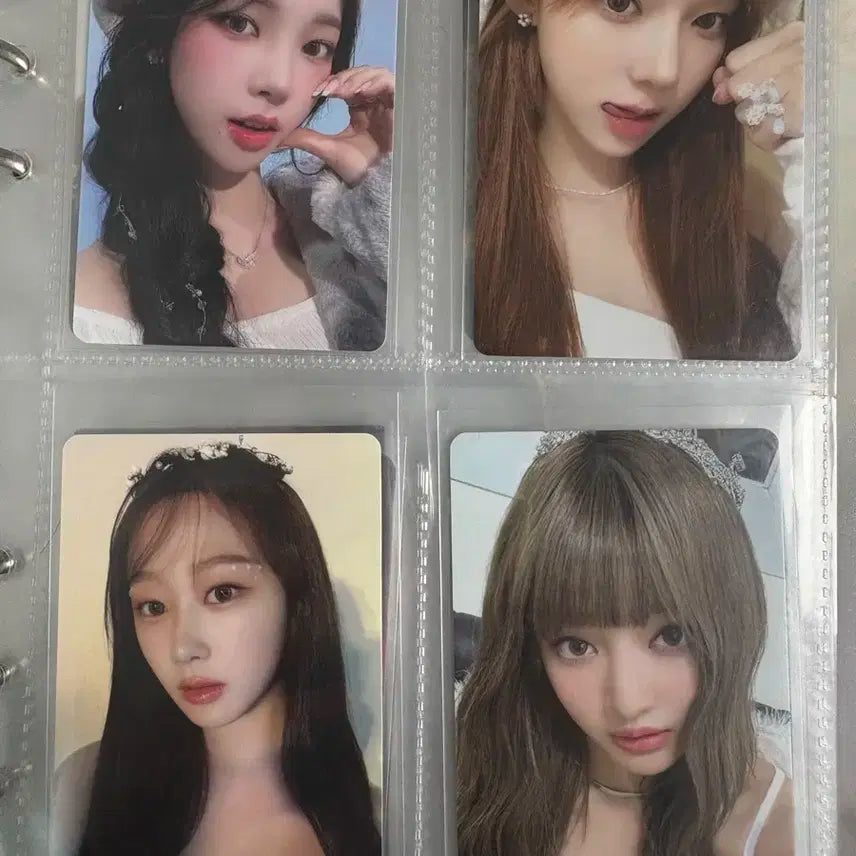 에스파 시그 포카 (일괄)