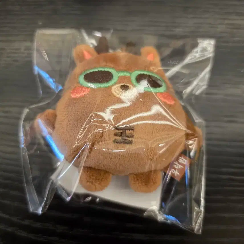 라이즈 콘서트 엠디 성찬 미니돌 키링 선글라스 버전 우락밤