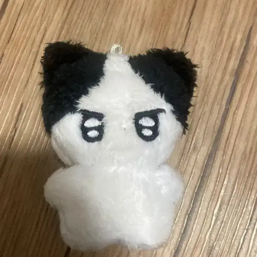 스테이씨 stayc 아이사 isa 10cm 8cm 인형 미니사