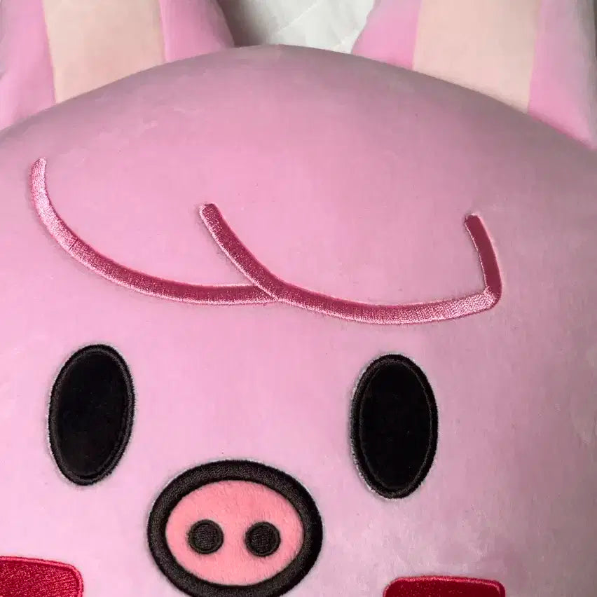 스키주 페이스 쿠션 돼끼 창빈 스키즈 스트레이키즈 인형 다마고치 특전