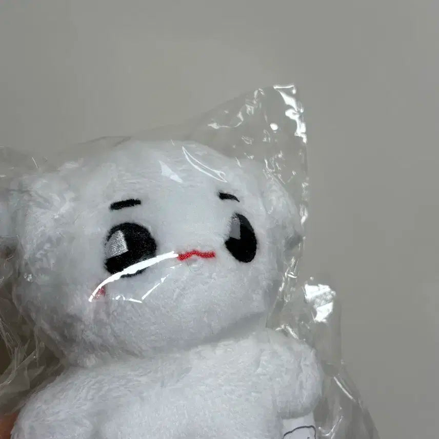 태용 툥야 인형