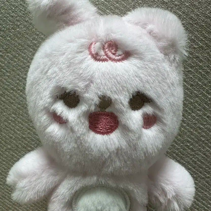 데이식스 쁘띠멀즈 필