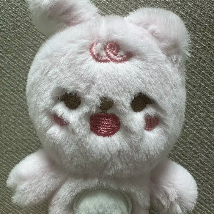 데이식스 쁘띠멀즈 필