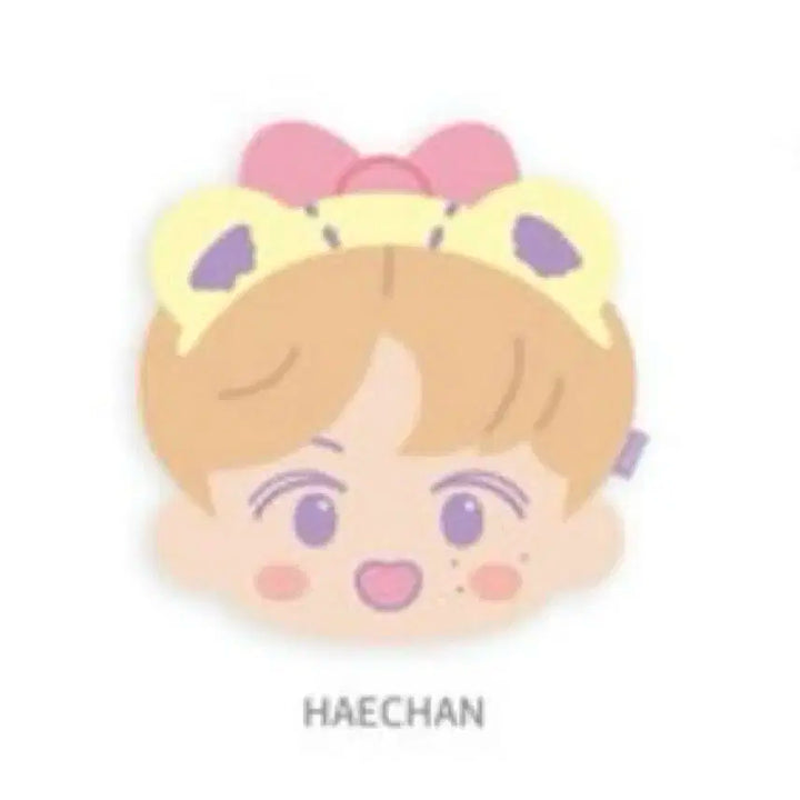 엔시티드림 엔시티127 해찬 Haechan 타이니참 산리오 인형 쿠션