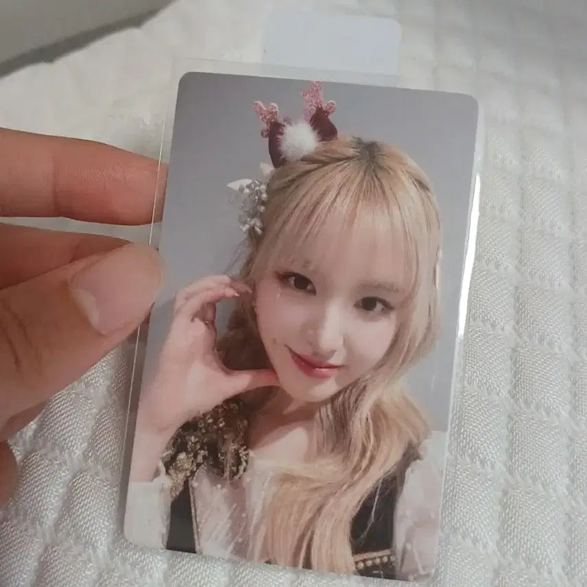 갓매)아이브 리즈 이즈위 포카 팔아요