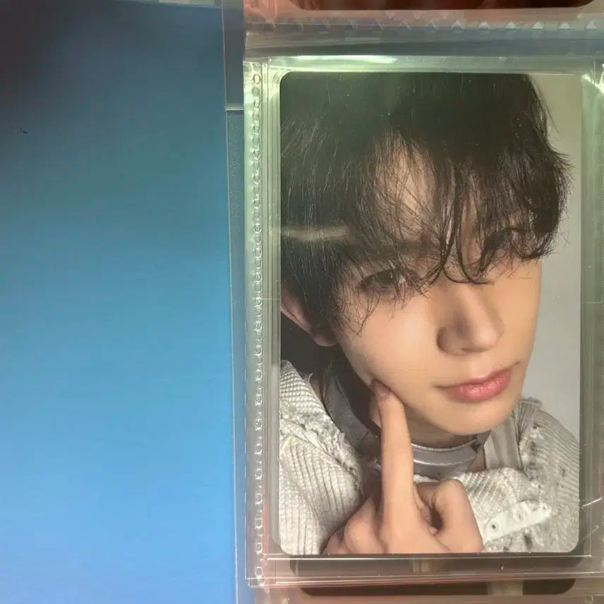 엔하이픈 희승 포카