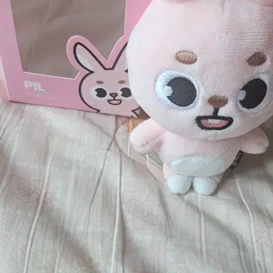 데이식스 24필끼
