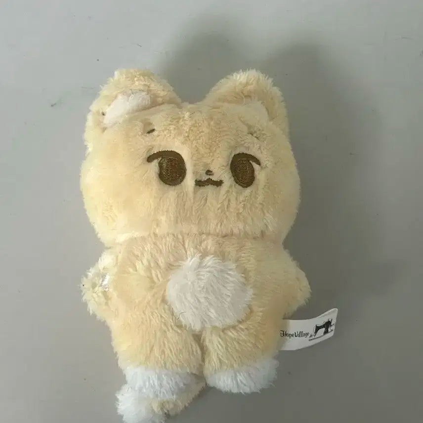 데이식스 영케이 케냥이