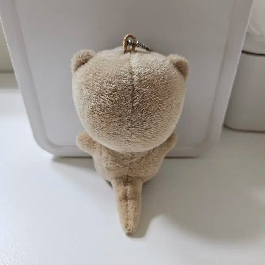 세븐틴 이찬 디노 인형 당찬