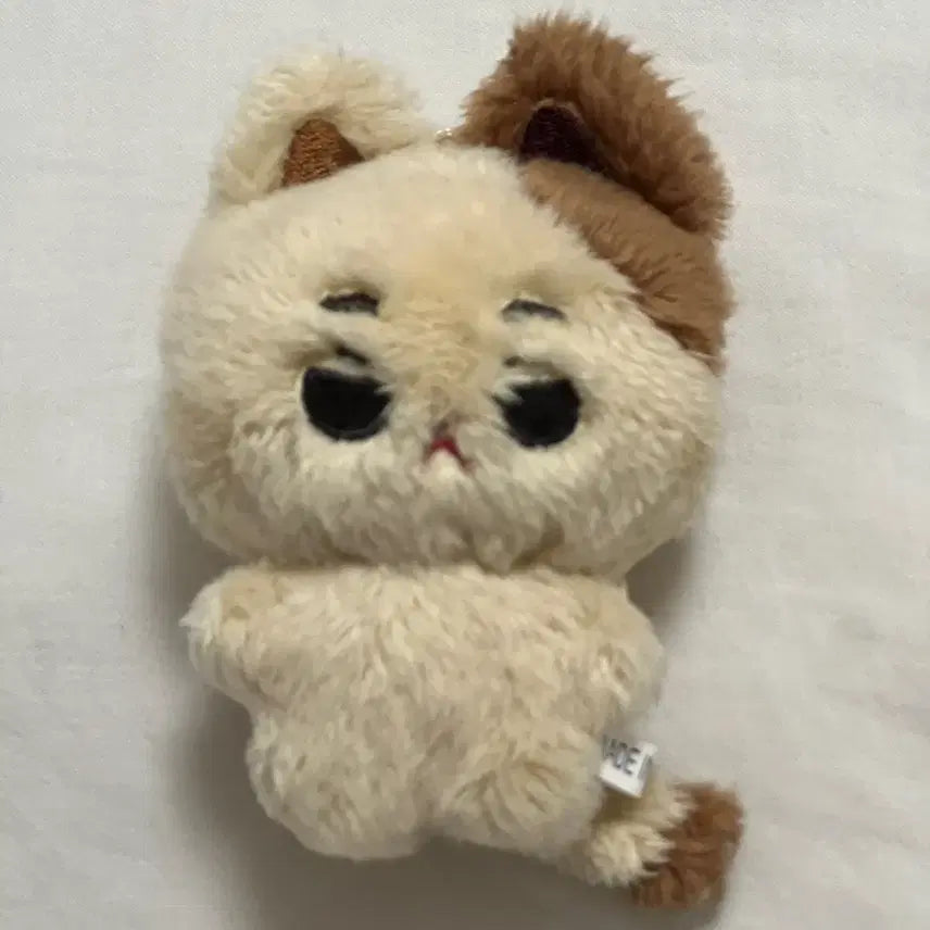 제로베이스원 리키 인형 맄냥이 냥리키 양도 판매
