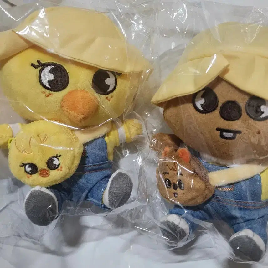 스키즈 스키주 유치원생 일본 팝업 뽁아리 한쿼카