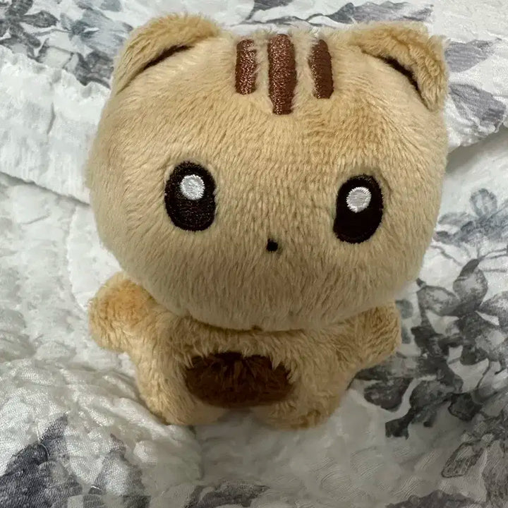 더보이즈 큐 인형 큐꼬미 양도