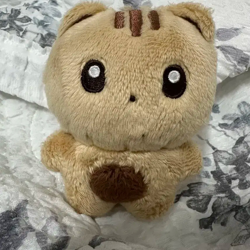 더보이즈 큐 인형 큐꼬미 양도