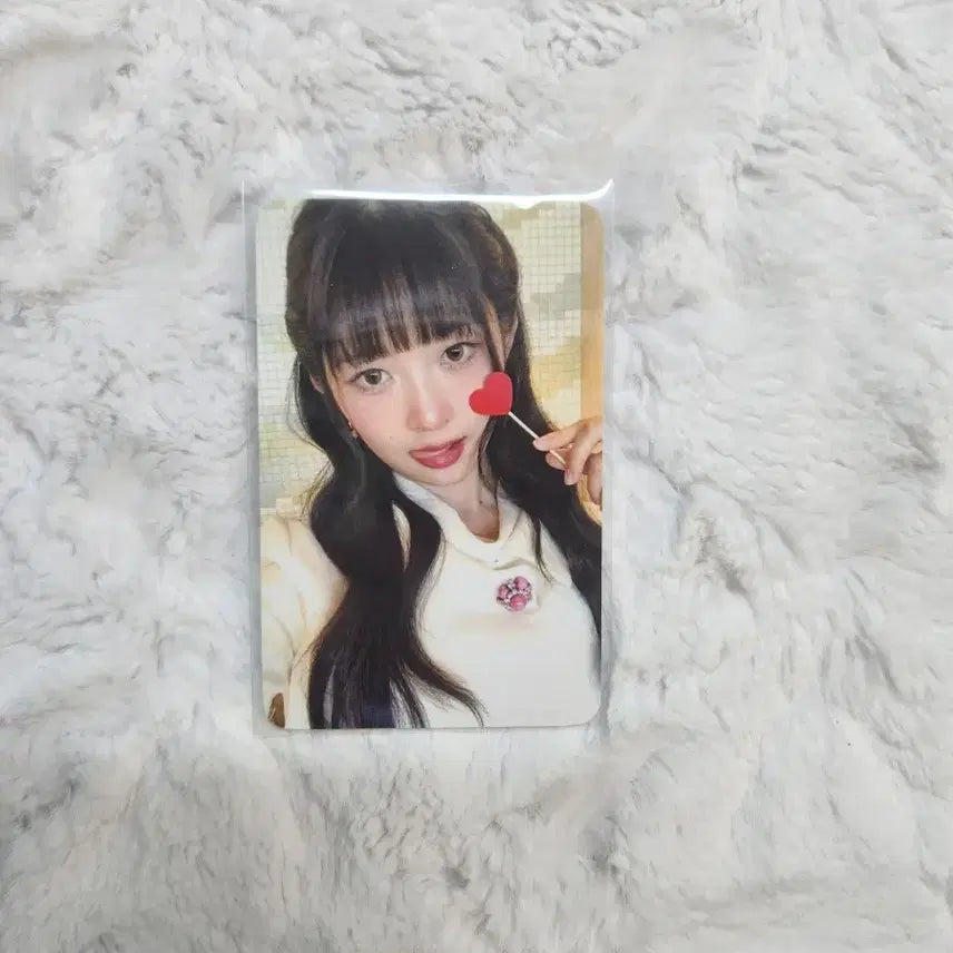 아이브 레이 포카 판매
