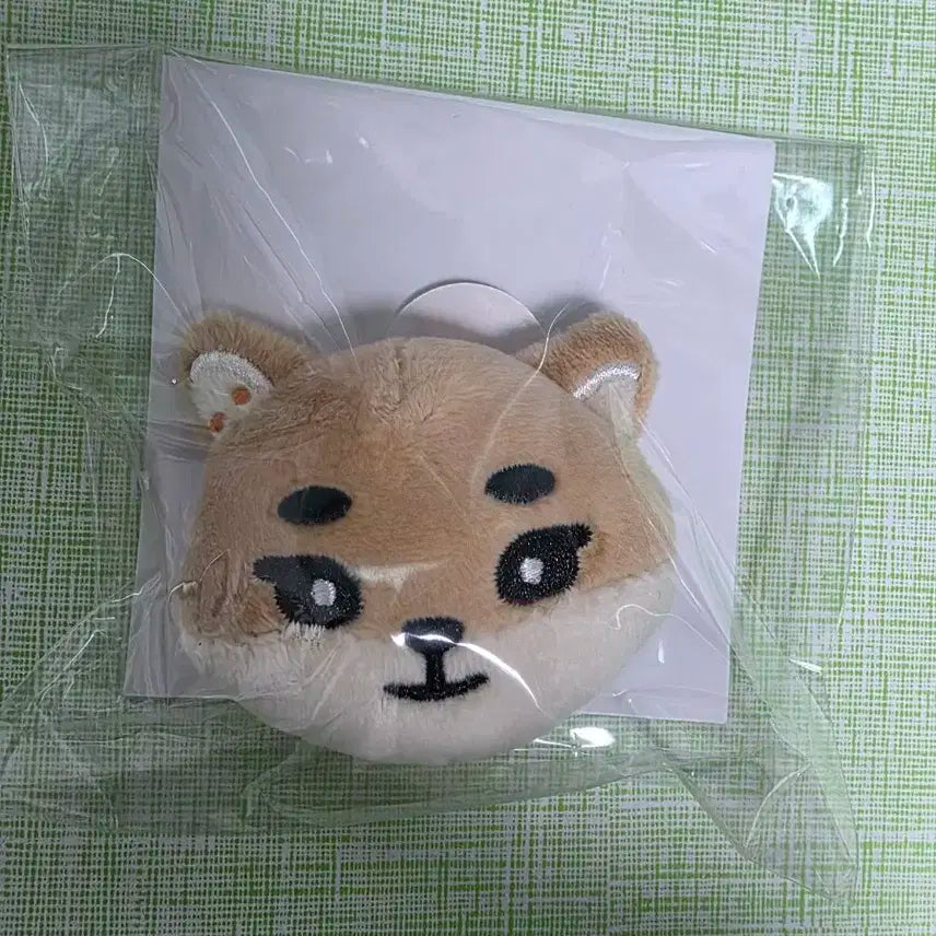 데이식스 일본 포에버영 MD 영케이 케