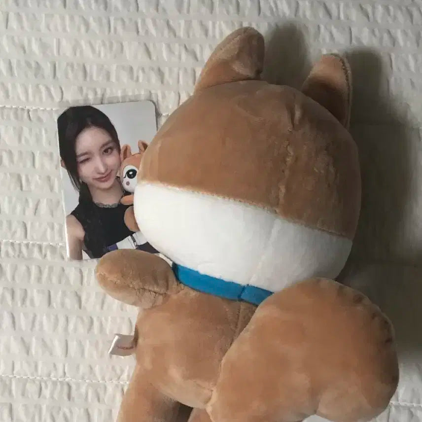 미니브 달이 가을 인형 판매합니다!