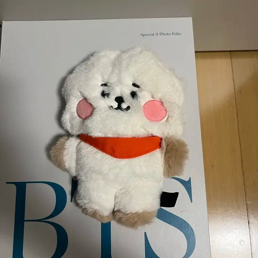 BT21 알제이 플럼퍼 새상품