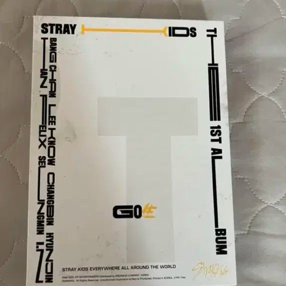Stray Kids 정규 1집 GO LIVE 앨범입니다.