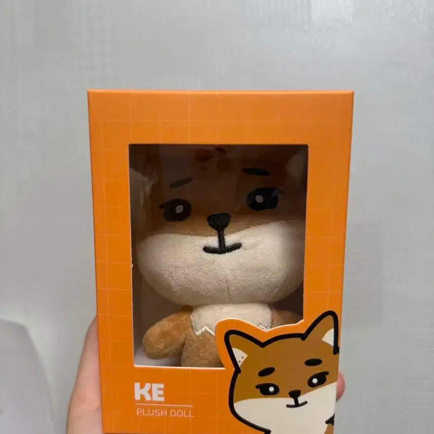 24 데니멀즈 케