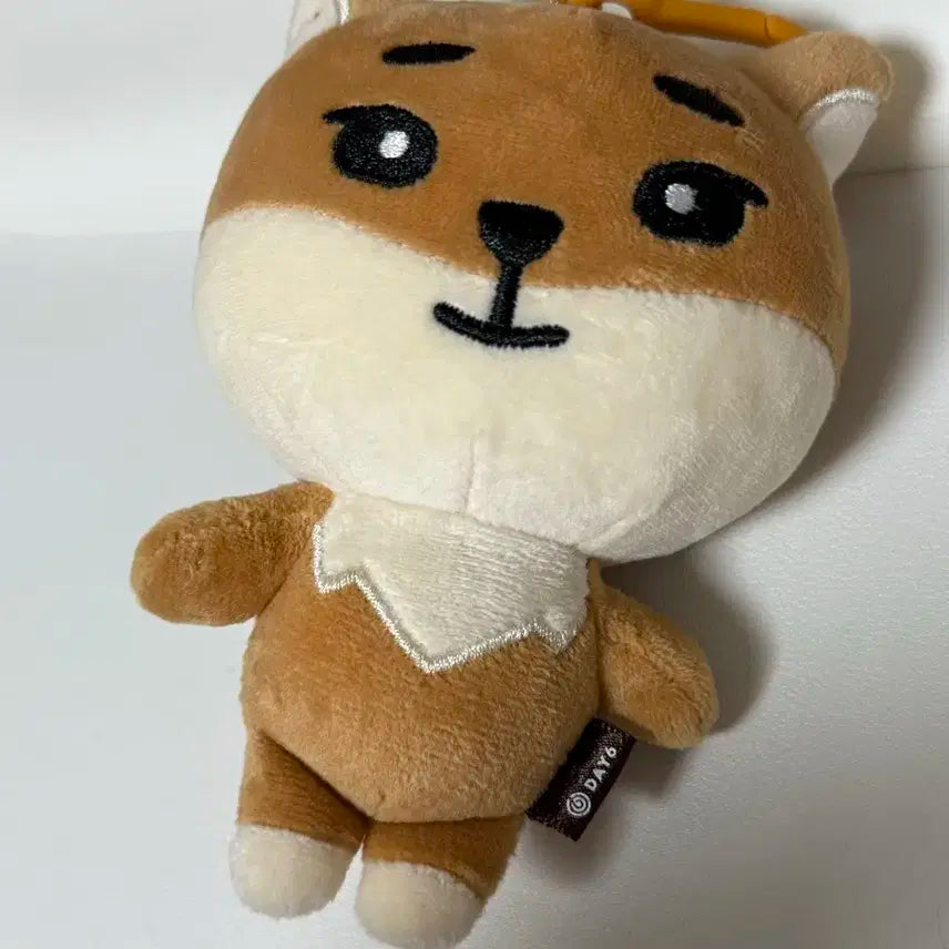 24 데니멀즈 케