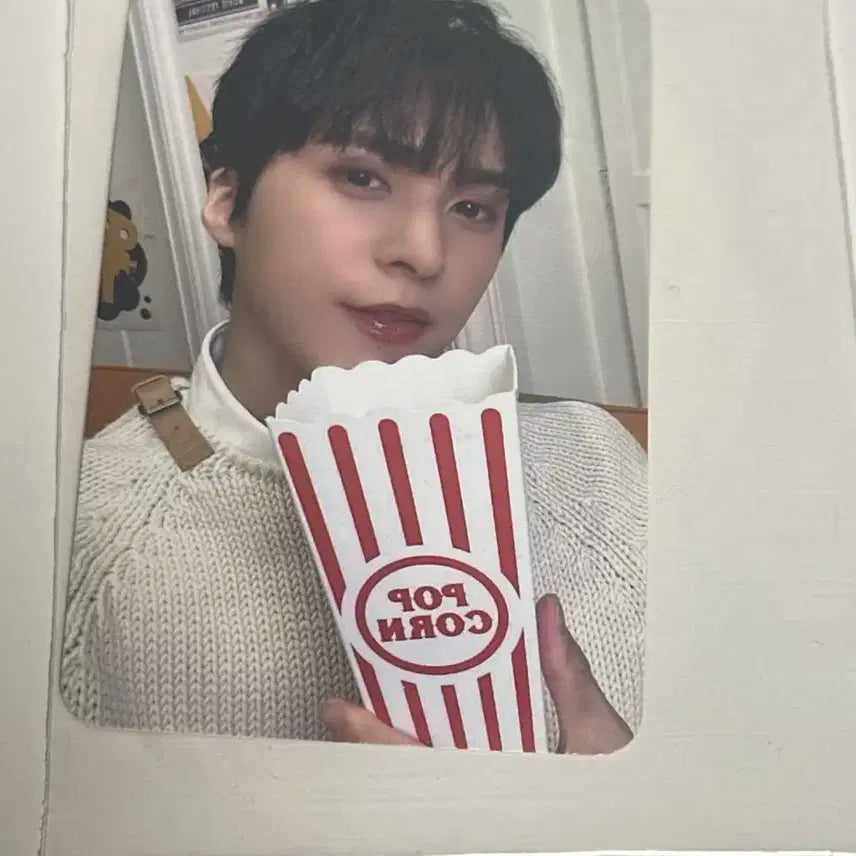 하이라이트 2024 시즌그리팅 미공포 손동운