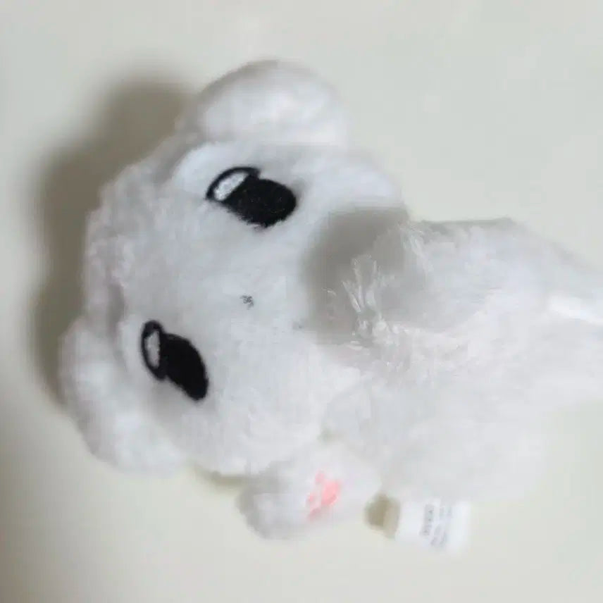 에스파 윈터 인형 눕직이 직직이 양도